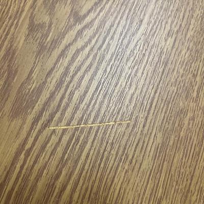 Two Padded Chairs & Folding Table (S-MG)