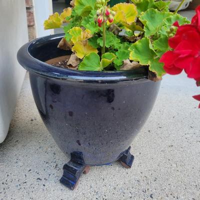 Ceramic Pots and More (G-DW)