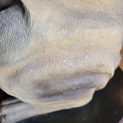 Bombay Company Hound Dog Serving Statue (D-DW)