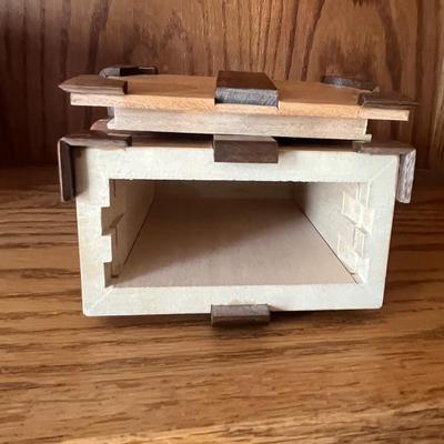 Wooden Brain Teasers & More (D2-MG)