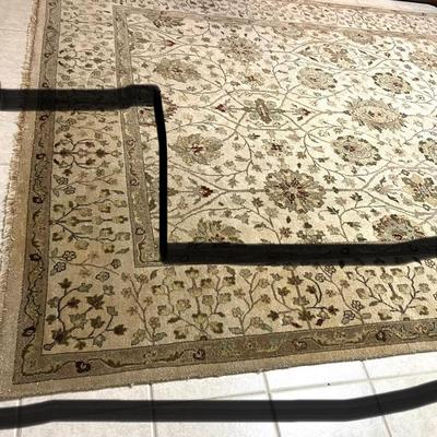LARGE Area Rug *Read Details