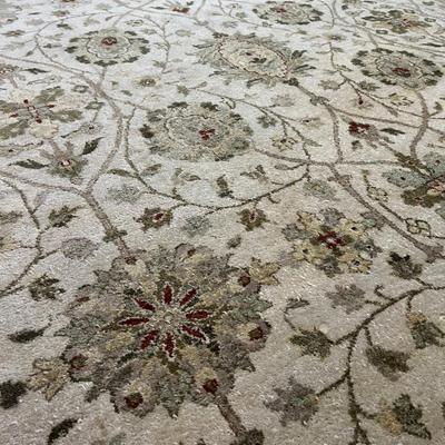 LARGE Area Rug *Read Details