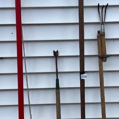 Assorted garden lot