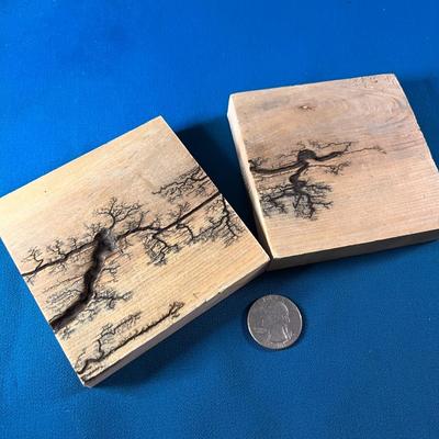 NATUREâ€™S WONDER WOOD BLOCK PAIR INTRICATE ETCHED TREE/ROOTS DESIGN