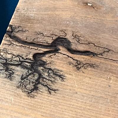 NATUREâ€™S WONDER WOOD BLOCK PAIR INTRICATE ETCHED TREE/ROOTS DESIGN