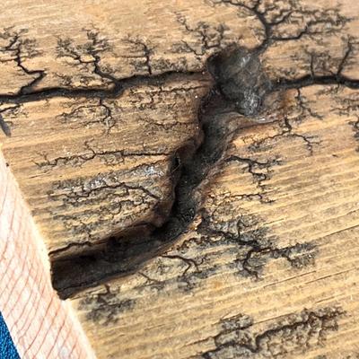 NATUREâ€™S WONDER WOOD BLOCK PAIR INTRICATE ETCHED TREE/ROOTS DESIGN