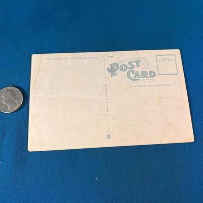 VINTAGE COLOR POSTCARD â€œA SOUTHERN DELIGHT, CHICKEN AND POSSUMâ€ 