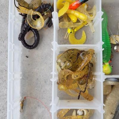 Clear Organizer with Fishing Tackle