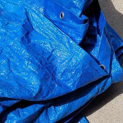 Blue Tarp