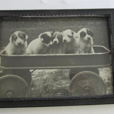Adorable Dogs Old Print