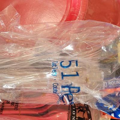 Disposable Party Supplies