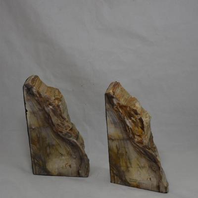 Petrified Sequoia Bookends Measures 8.5"x4.5"x1.5"