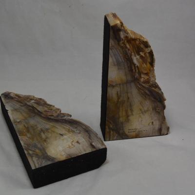 Petrified Sequoia Bookends Measures 8.5"x4.5"x1.5"