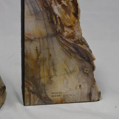 Petrified Sequoia Bookends Measures 8.5"x4.5"x1.5"