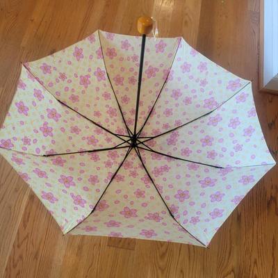 Women's Fashion Eye Glasses, Louis Vuitton Umbrella and More (G-DW)