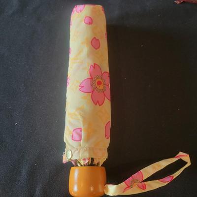 Women's Fashion Eye Glasses, Louis Vuitton Umbrella and More (G-DW)