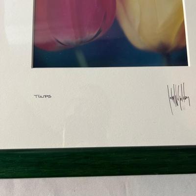 Four Framed Floral Art Pieces (MBR-MG)