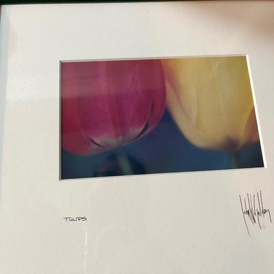 Four Framed Floral Art Pieces (MBR-MG)