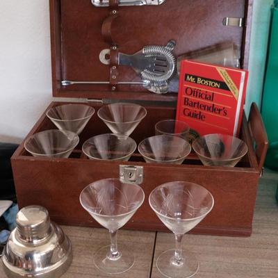 Martini and Cocktail Party Sets