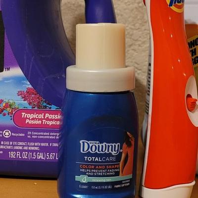 Laundry Detergent, Shout, Downey, and Tide Scrubber