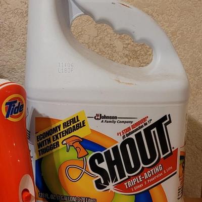 Laundry Detergent, Shout, Downey, and Tide Scrubber
