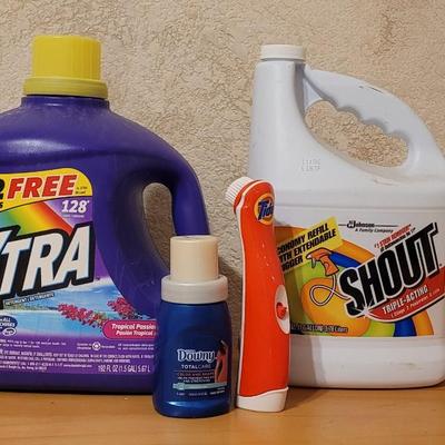 Laundry Detergent, Shout, Downey, and Tide Scrubber