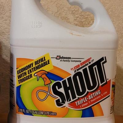 Laundry Detergent, Shout, Downey, and Tide Scrubber