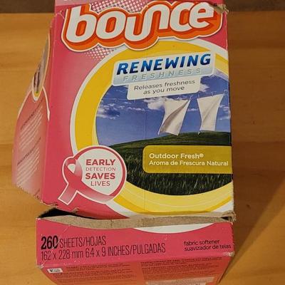 Bounce and Kirkland Dryer Sheets
