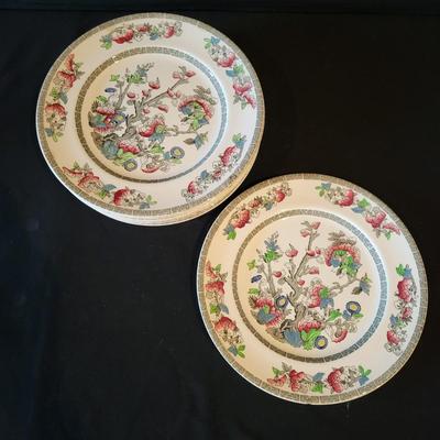 Johnson Bros Indian Tree China Set (DR-DW)