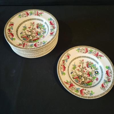 Johnson Bros Indian Tree China Set (DR-DW)