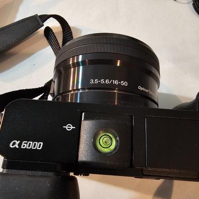 Sony 6000 Digital Camera & Accessories  (PC1-JS)