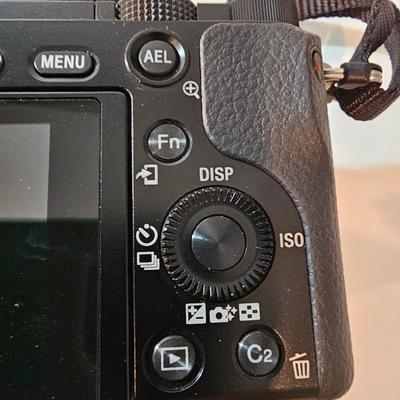 Sony 6000 Digital Camera & Accessories  (PC1-JS)