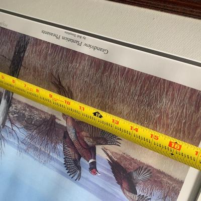 Bob Thompkins SIGNED / NUMBERED Grandview Plantation Pheasants Framed Print