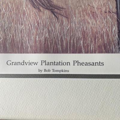 Bob Thompkins SIGNED / NUMBERED Grandview Plantation Pheasants Framed Print