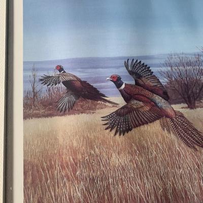 Bob Thompkins SIGNED / NUMBERED Grandview Plantation Pheasants Framed Print