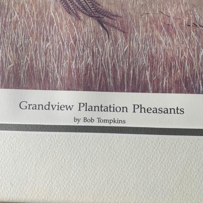 Bob Thompkins SIGNED / NUMBERED Grandview Plantation Pheasants Framed Print