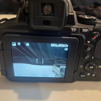 Nikon Coolpix P900 Digital Camera (PC1-MG)