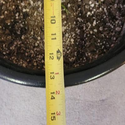 Mountain Scene Ceramic Planter