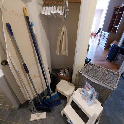 Laundry & Cleaning Assortment  (L-JS)