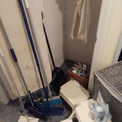 Laundry & Cleaning Assortment  (L-JS)