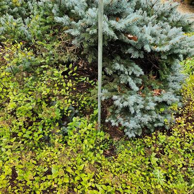 Oval Shape Wind Spinner (P-JS)