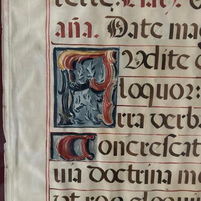 Framed Manuscript on Vellum (DR-KL)