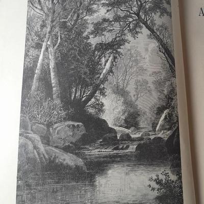 America Illustrated hardback book Boston DeWolfe, Fiske & Co. Copyright 1883