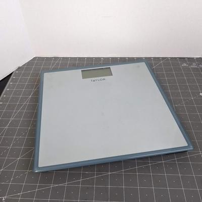 Digital Body Weight Scale