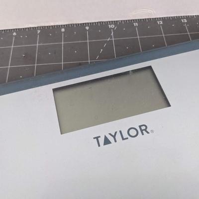 Digital Body Weight Scale