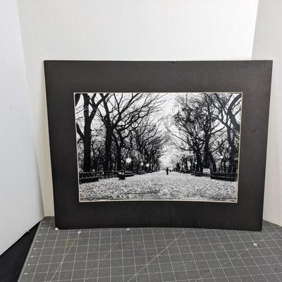 Central Park Photograph with Mat