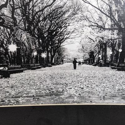 Central Park Photograph with Mat