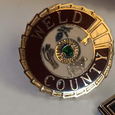 Nice collection of Hat pins