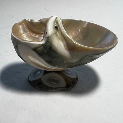 Pedestal Shell Salt