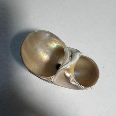 Pedestal Shell Salt